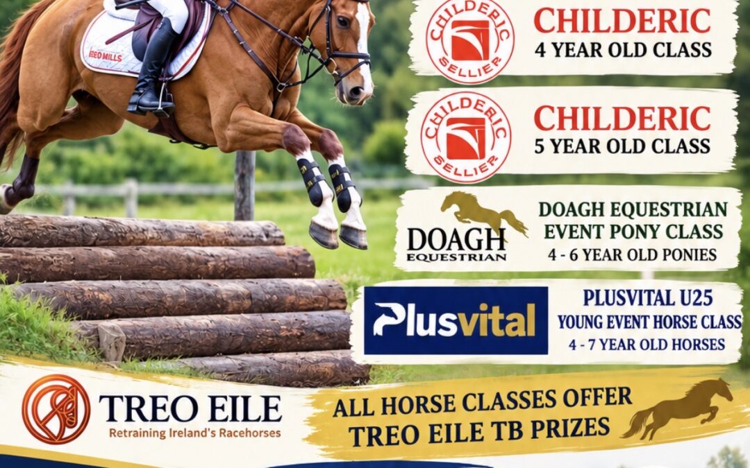 STEPPING STONES TO SUCCESS YOUNG EVENT HORSE LEAGUE – QUALIFIER 4 TUESDAY 20TH  APRIL 2027 viewing day